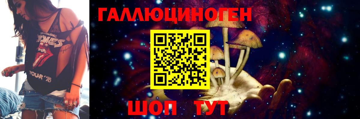 Галлюциногенные грибы GOLDEN TEACHER  Вход с VPN  Новокубанск  Галлюциногенные грибы MAGIC MUSHROOMS 