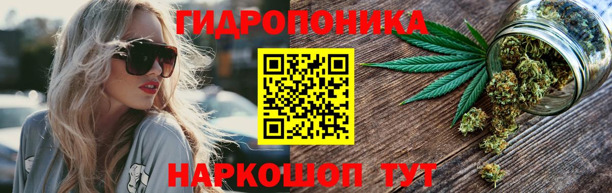 Бошки марихуана планчик  Каннабис OG Kush  Вход с VPN  Новокубанск 